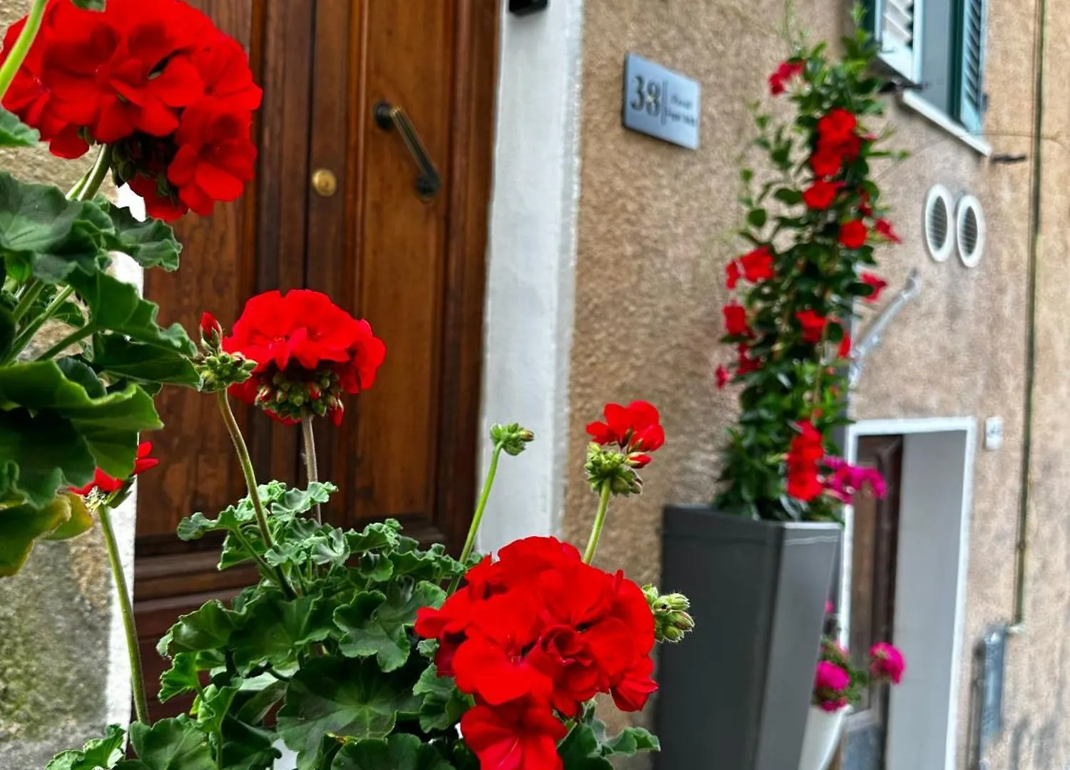 Appartamento Piccoli Sogni Abbadia San Salvator Italia